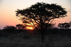 196 Sunset at Kalahari Rest Camp.JPG