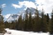 Mountains along Icefield Pkwy-7411.jpg