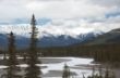 Mountains along Icefield Pkwy-7383.jpg