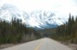 along the Icefields Pkwy-6923.jpg