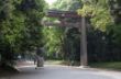 Tori to Meiji Shrine-5996.jpg