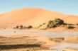 Sossusvlei with water & dune-3047.jpg