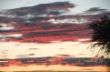 Sunset in Kalahari-2469.jpg
