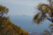 1017EED_1340 Blick auf Capri.jpg