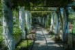 Garten, Villa Axel Munthe, Capri-0347.jpg