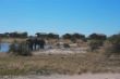 Elefanten, Elephant Sands, Botswana-3113.jpg
