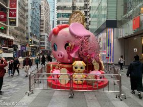 Jahr des Schweins, Kowloon-5772.jpg
