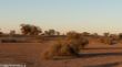 Kalahari Red Dune, Sunset-1020657.jpg