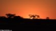 Sunset at Kalahari Red Dune-1020698.jpg