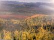 13 Beautiful View of Yukon Territory.jpg