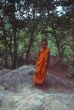 D 21 Mandalay, junger Mönch (1).jpg