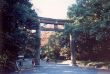 A 32 Richtung Meiji Shrine.jpg
