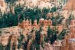 D 03 Bryce Canyon.jpg