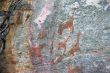 BP 12 Tsodili Rock Paintings.JPG