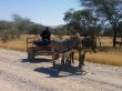 AX 25 Donkey Cart, Seisfontein.JPG