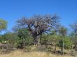 AY 19 Baobab Bend to Opuwo.JPG