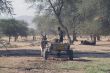 BI 02 Donkey Cart, Seisfontein.JPG