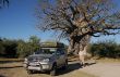 BO 048 Mahangu Baobab Giant.JPG
