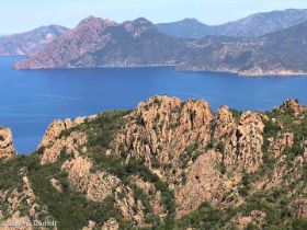 Les Calanques de Piana_3049.jpg