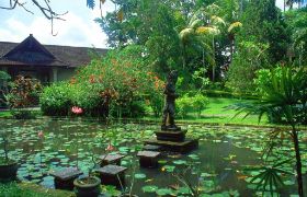 A 28 Ubud.jpg