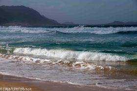 Strand von Vincente-7248.jpg