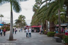 Puerto de la Cruz-7460.jpg