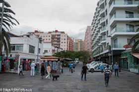 Puerto de la Cruz-7464.jpg