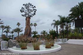 Puerto de la Cruz-7468.jpg