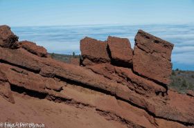 NP Caldera de Taburiente, La Palma-7535.jpg