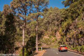 zum NP Caldera de Taburiente, La Palma-7516.jpg