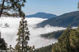 zum NP Caldera de Taburiente, La Palma-7522.jpg