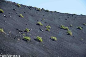 Timanfaya NP-7674.jpg