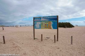 Parque natural de Corralejo-7782.jpg