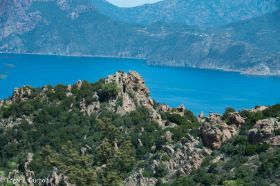 Les Calaanques de Piana-0606.jpg