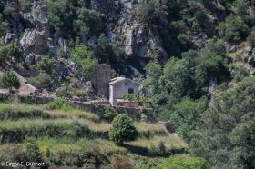 Les Calaanques de Piana-0613.jpg