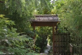 Villa Rothschild-0872.jpg