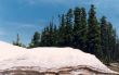 C 37 Cedar Breaks.jpg