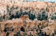 D 02 Bryce Canyon.jpg