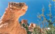 D 13 Bryce Canyon.jpg