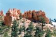 D 14 Bryce Canyon.jpg