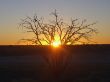 BV 71 Sunset at Bitterpan Camp.JPG